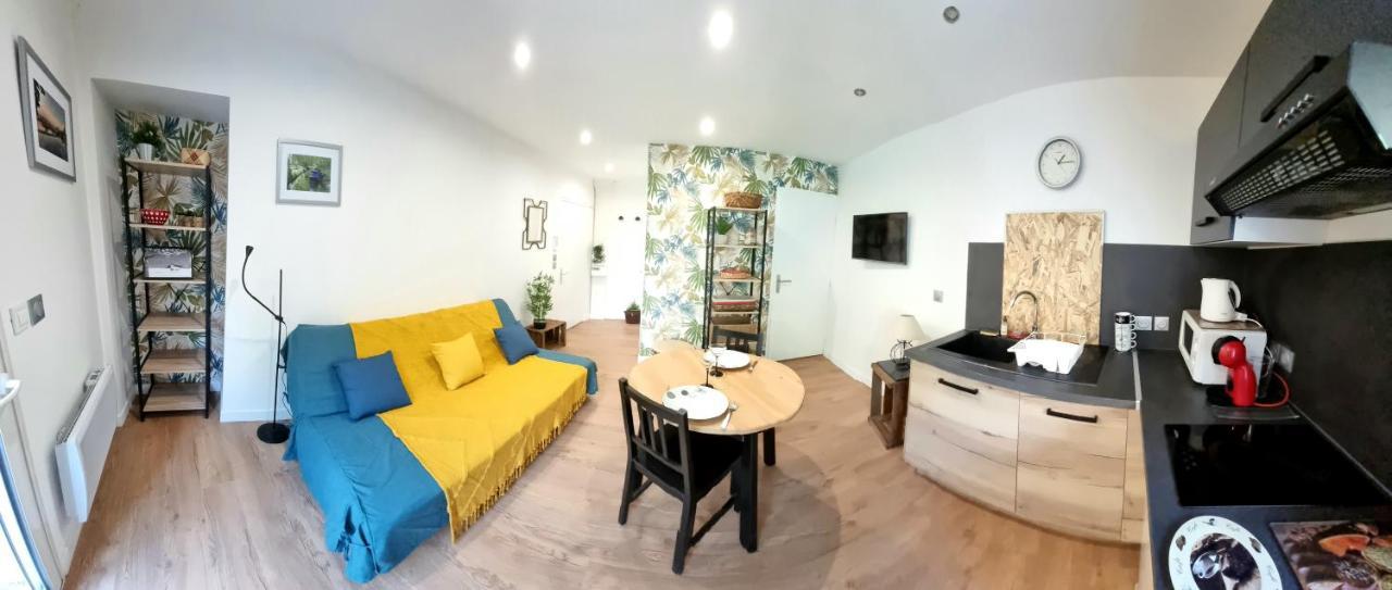 Studio Simone - Terrasse Et Jardin - Tv - Wifi Toulouse Exterior photo